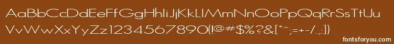 SansSerifMedium Font – White Fonts on Brown Background