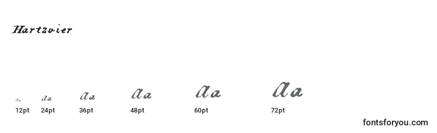 Hartzvier Font Sizes