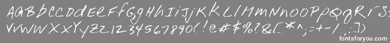 Lehn001 Font – White Fonts on Gray Background
