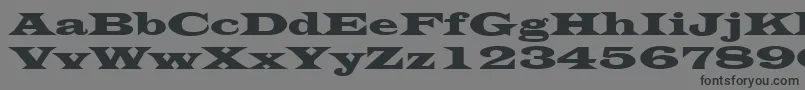 LatinWide Font – Black Fonts on Gray Background