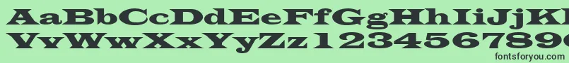LatinWide Font – Black Fonts on Green Background