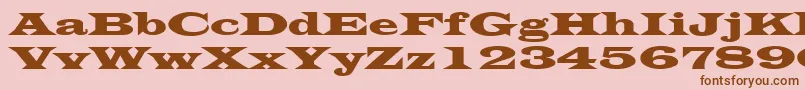 LatinWide Font – Brown Fonts on Pink Background