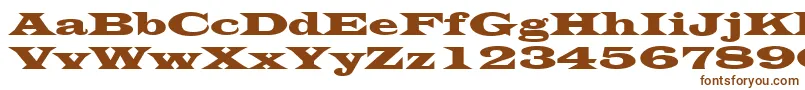 LatinWide Font – Brown Fonts on White Background