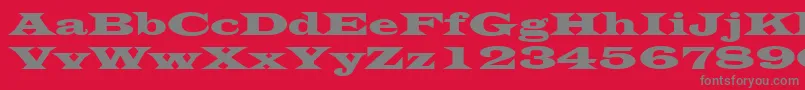 LatinWide Font – Gray Fonts on Red Background