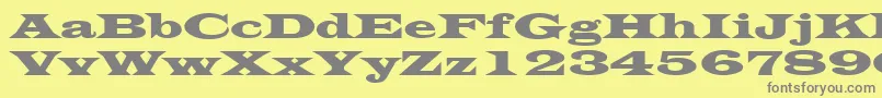 LatinWide Font – Gray Fonts on Yellow Background