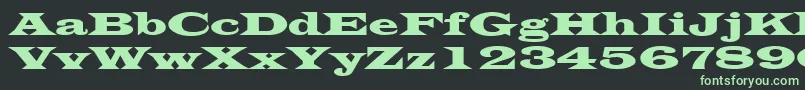 LatinWide Font – Green Fonts on Black Background