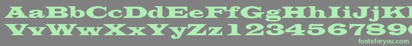 LatinWide Font – Green Fonts on Gray Background