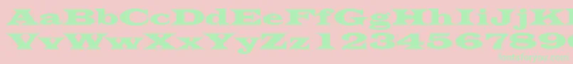 LatinWide Font – Green Fonts on Pink Background
