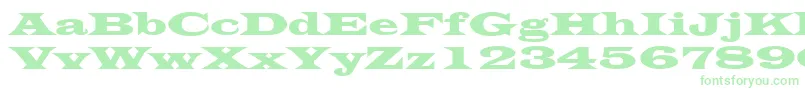 LatinWide Font – Green Fonts on White Background