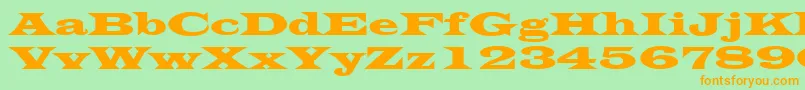 フォントLatinWide – オレンジの文字が緑の背景にあります。