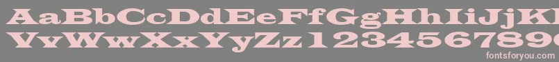 LatinWide-Schriftart – Rosa Schriften auf grauem Hintergrund