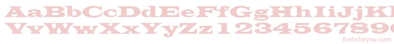 Więcej informacji o czcionce LatinWide Czcionka LatinWide – różowe czcionki