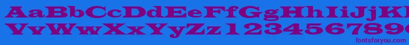 LatinWide Font – Purple Fonts on Blue Background