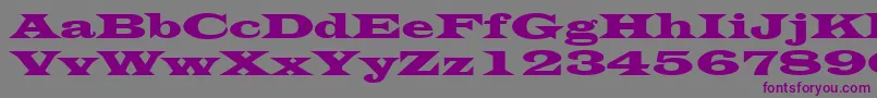 Czcionka LatinWide – fioletowe czcionki na szarym tle