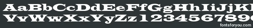 LatinWide Font – White Fonts on Black Background