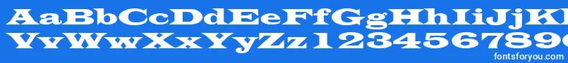LatinWide Font – White Fonts on Blue Background