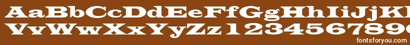 LatinWide Font – White Fonts on Brown Background