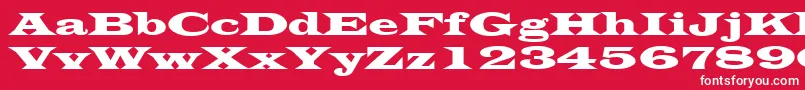 LatinWide Font – White Fonts on Red Background