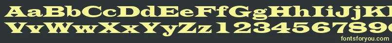 LatinWide Font – Yellow Fonts on Black Background