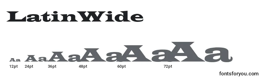 LatinWide Font Sizes