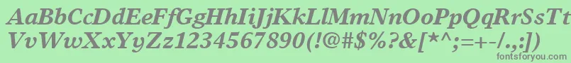 TimesEuropaLtBoldItalic Font – Gray Fonts on Green Background
