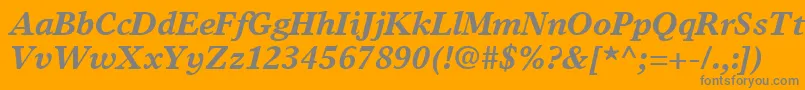 TimesEuropaLtBoldItalic Font – Gray Fonts on Orange Background