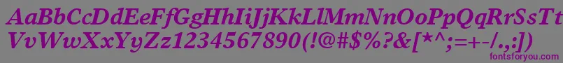 TimesEuropaLtBoldItalic Font – Purple Fonts on Gray Background