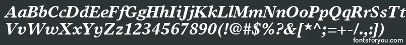 TimesEuropaLtBoldItalic Font – White Fonts