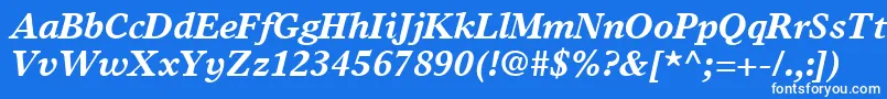TimesEuropaLtBoldItalic Font – White Fonts on Blue Background