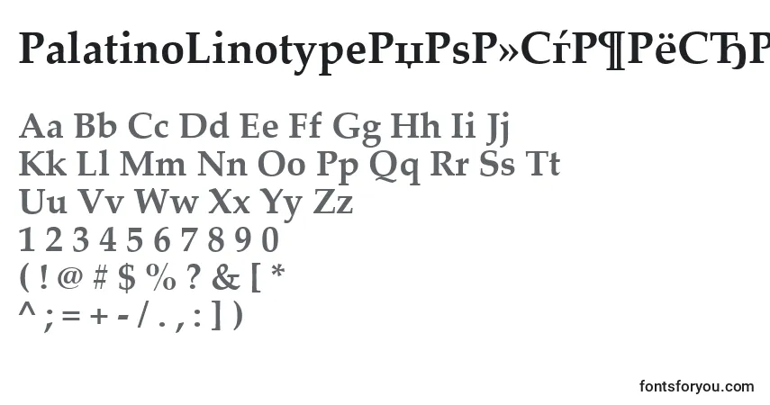 PalatinoLinotypeРџРѕР»СѓР¶РёСЂРЅС‹Р№ Font – alphabet, numbers, special characters