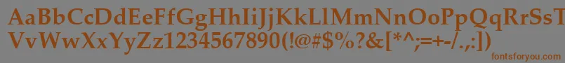 PalatinoLinotypeРџРѕР»СѓР¶РёСЂРЅС‹Р№ Font – Brown Fonts on Gray Background