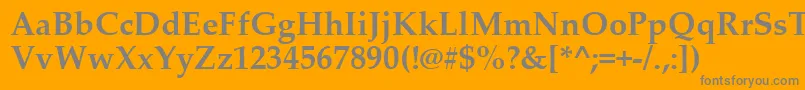 フォントPalatinoLinotypeРџРѕР»СѓР¶РёСЂРЅС‹Р№ – オレンジの背景に灰色の文字