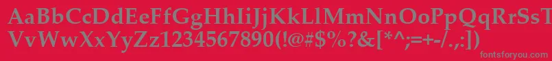 フォントPalatinoLinotypeРџРѕР»СѓР¶РёСЂРЅС‹Р№ – 赤い背景に灰色の文字