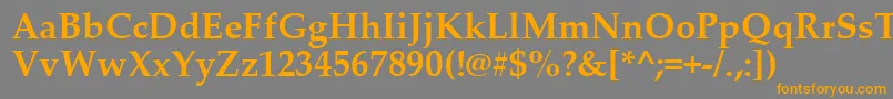 PalatinoLinotypeРџРѕР»СѓР¶РёСЂРЅС‹Р№ Font – Orange Fonts on Gray Background