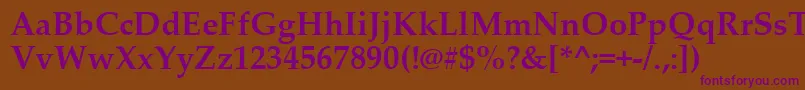 PalatinoLinotypeРџРѕР»СѓР¶РёСЂРЅС‹Р№ Font – Purple Fonts on Brown Background