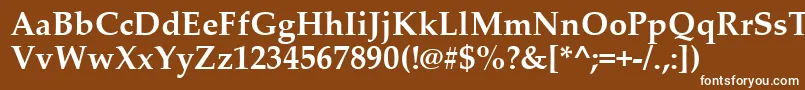 フォントPalatinoLinotypeРџРѕР»СѓР¶РёСЂРЅС‹Р№ – 茶色の背景に白い文字