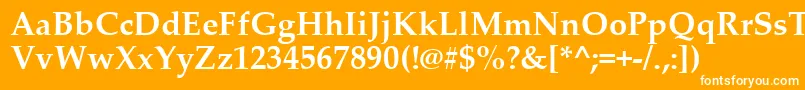 PalatinoLinotypeРџРѕР»СѓР¶РёСЂРЅС‹Р№-Schriftart – Weiße Schriften auf orangefarbenem Hintergrund