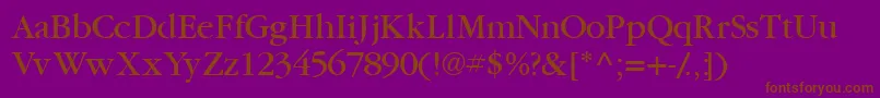 Garamondbookssk Font – Brown Fonts on Purple Background