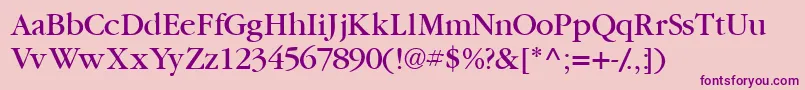 Garamondbookssk Font – Purple Fonts on Pink Background
