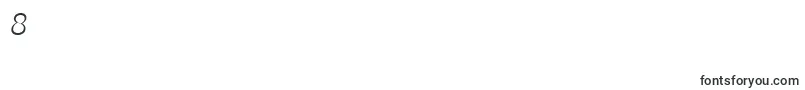 PfagoraslabproLightitalic-Schriftart – Schriften für die Ziffer 8