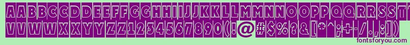 APlakattitulcmgr Font – Purple Fonts on Green Background