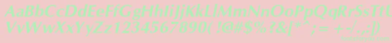 fuente OpiumnewcBolditalic – Fuentes Verdes Sobre Fondo Rosa