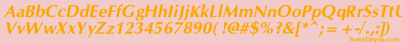 OpiumnewcBolditalic Font – Orange Fonts on Pink Background