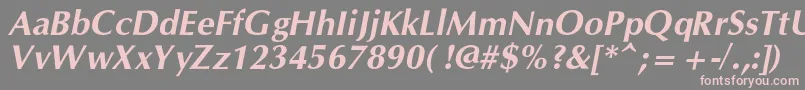 OpiumnewcBolditalic Font – Pink Fonts on Gray Background