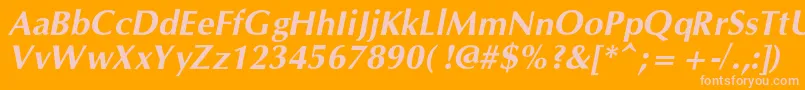 OpiumnewcBolditalic Font – Pink Fonts on Orange Background