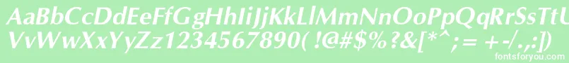 OpiumnewcBolditalic Font – White Fonts on Green Background
