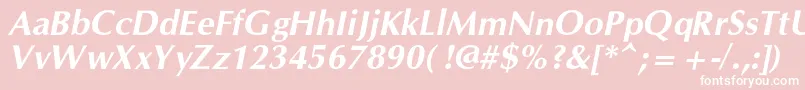 OpiumnewcBolditalic Font – White Fonts on Pink Background