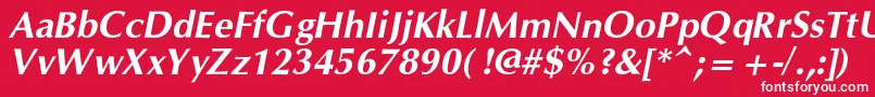 OpiumnewcBolditalic Font – White Fonts on Red Background