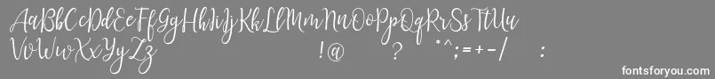 フォントLanaraScriptDemo – 灰色の背景に白い文字