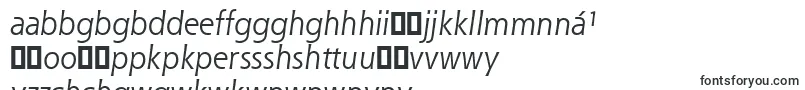ShannonAttItalic Font – Igbo Fonts